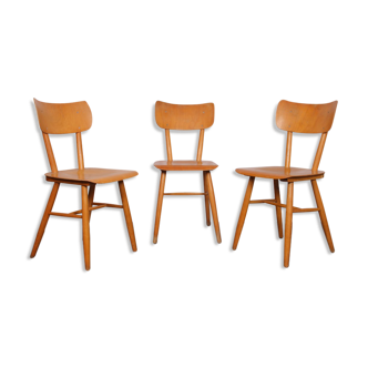 Suite de 3 chaises pour Ton, 1960