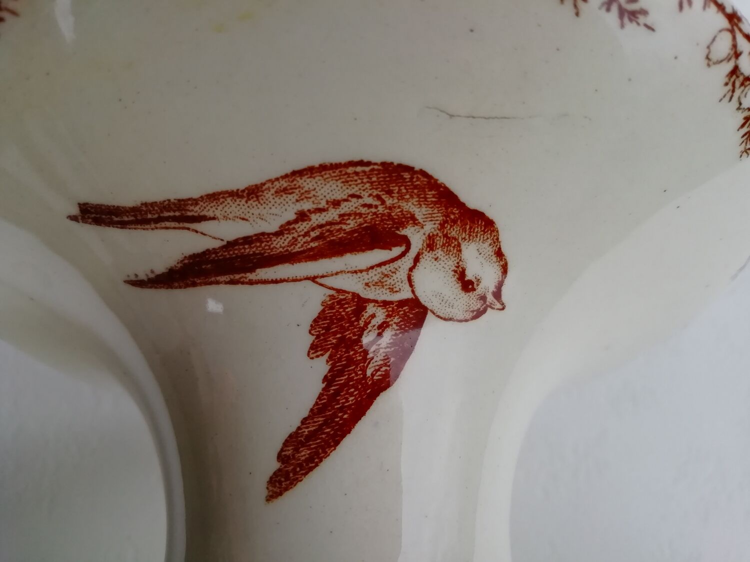 Iron earth piedouche cup