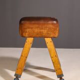 Gymnastic Leather Pommel Horse, Czechoslovakia, 1950’s