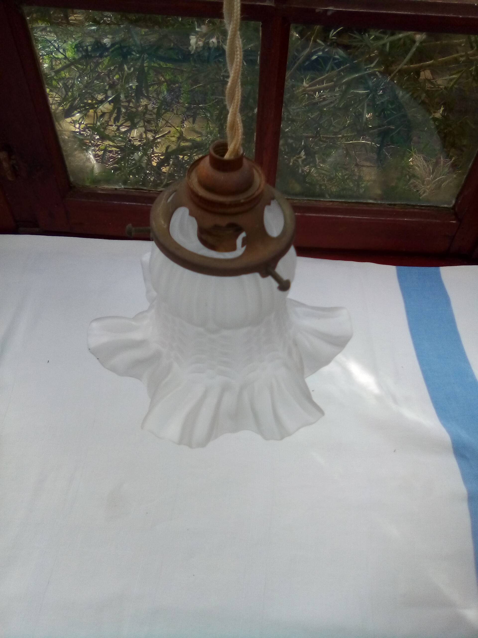 Glass tulip pendant light