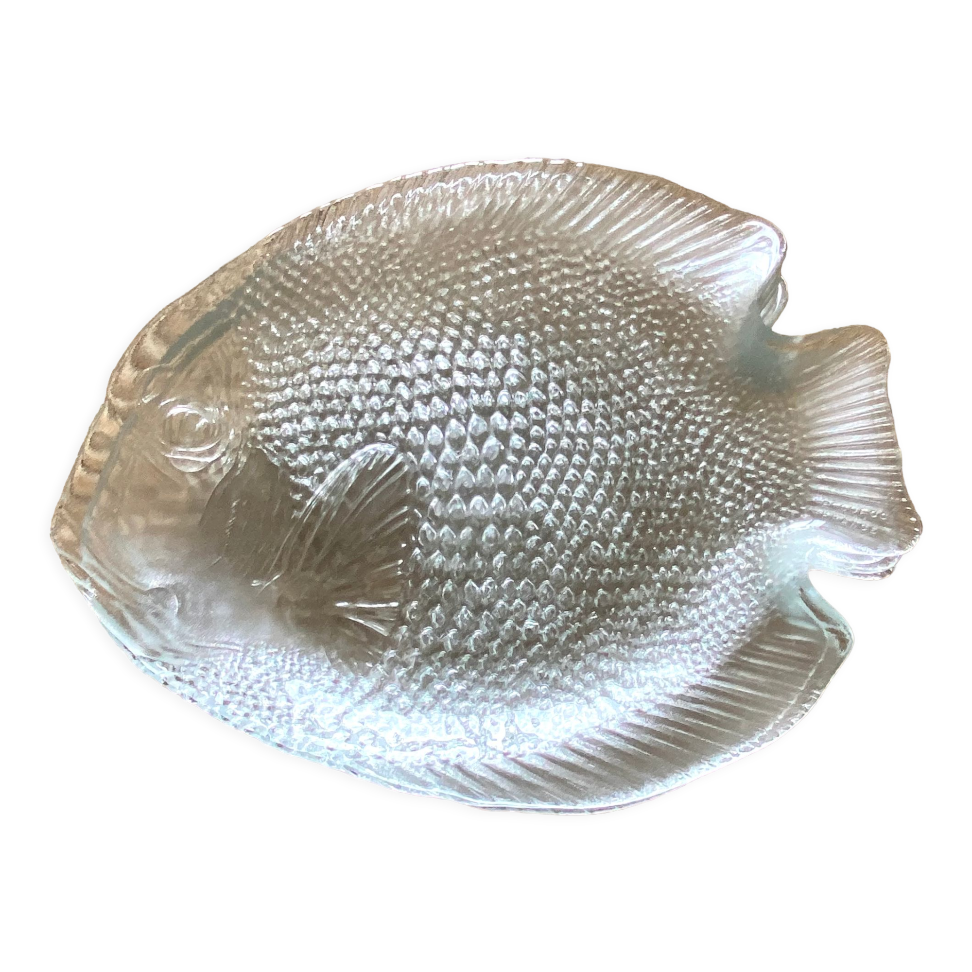 Glass fish plates