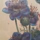 Poster ancient botanical flowers