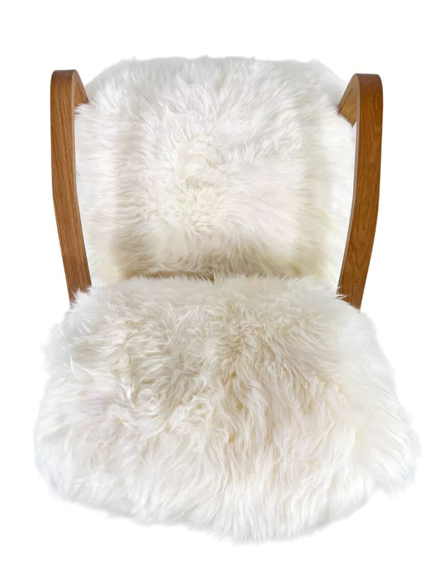 Scandinavian style armchair in leather and hide