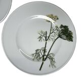 13-piece Dibbern Herbaticum porcelain dessert set circa 1980