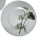 13-piece Dibbern Herbaticum porcelain dessert set circa 1980