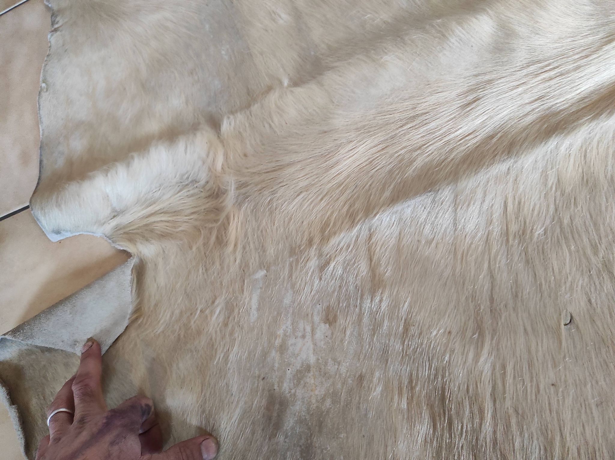 Carpet descent of vintage bed in cowhide 164x176 cm with white hair