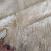 Carpet descent of vintage bed in cowhide 164x176 cm with white hair