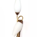 Double opaline flute wall light