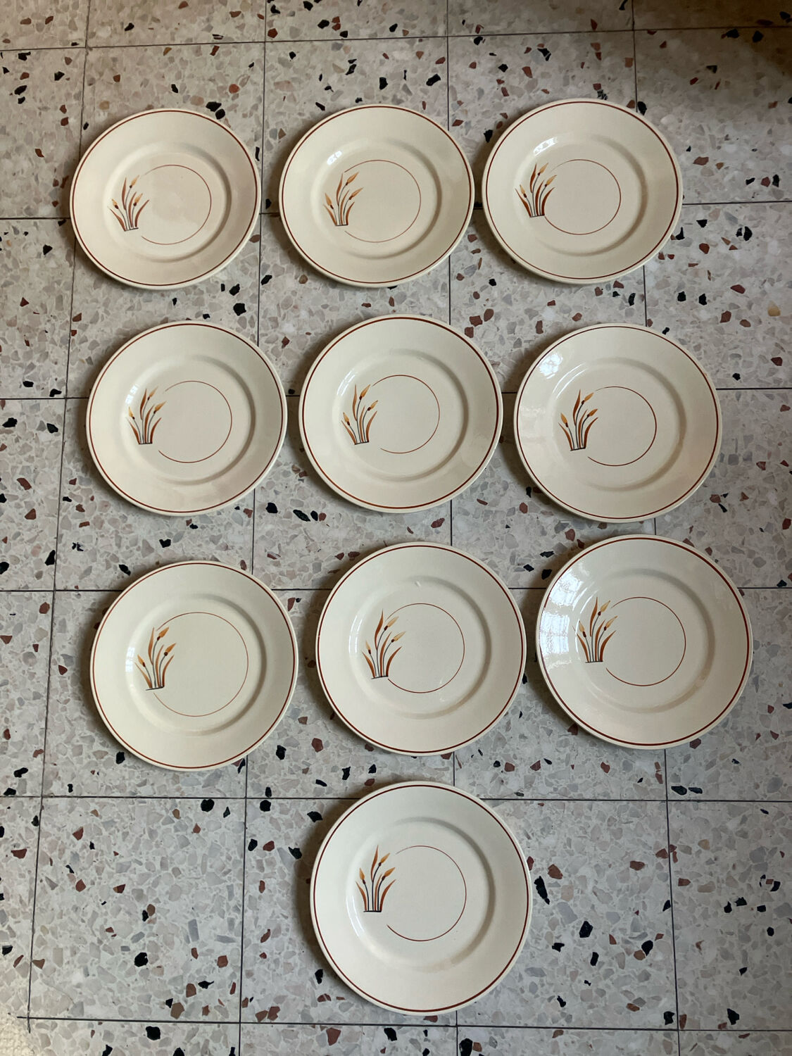 10 assiettes à dessert 