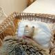 Rattan and wrought iron cradle