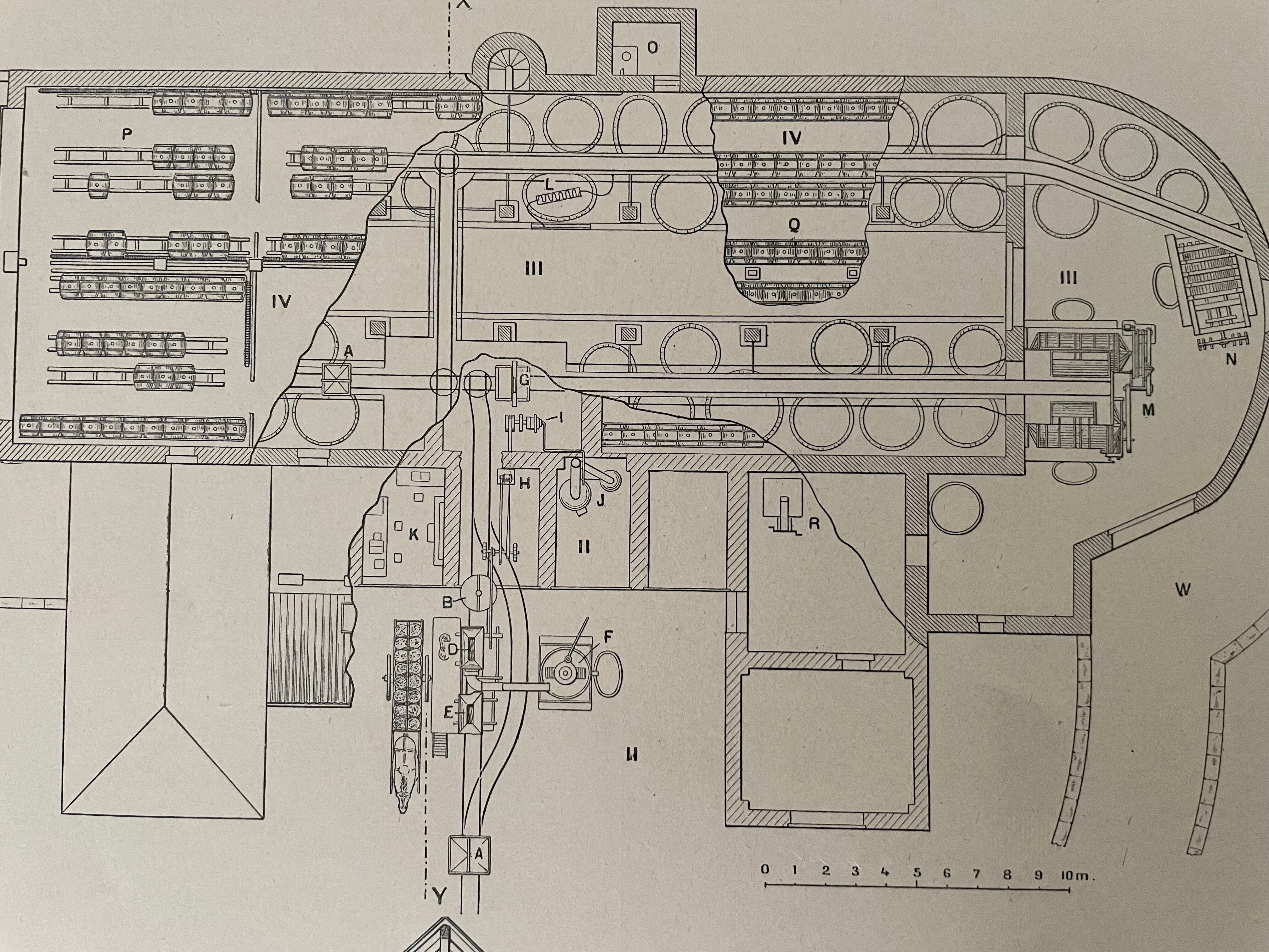 Lithograph on winemaking - 1920