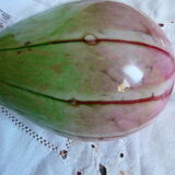 green and pink blown glass vase