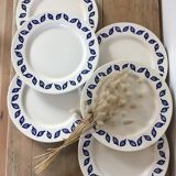 Flat plates blue leaves