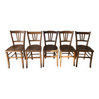Set of 5 beech wood bistro chairs from the 1950s
