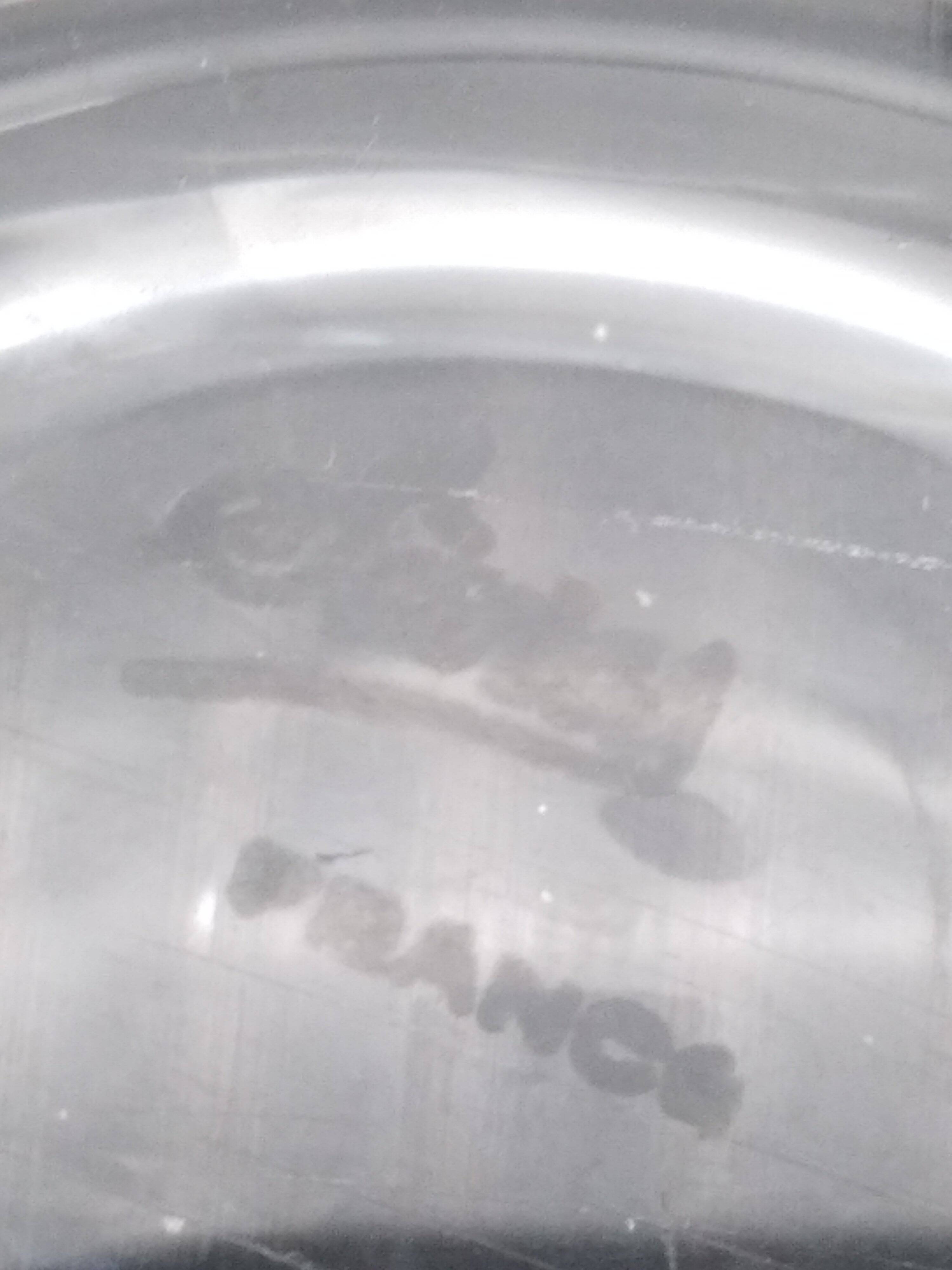 Fruit bowl .59 cm. Sevres France.