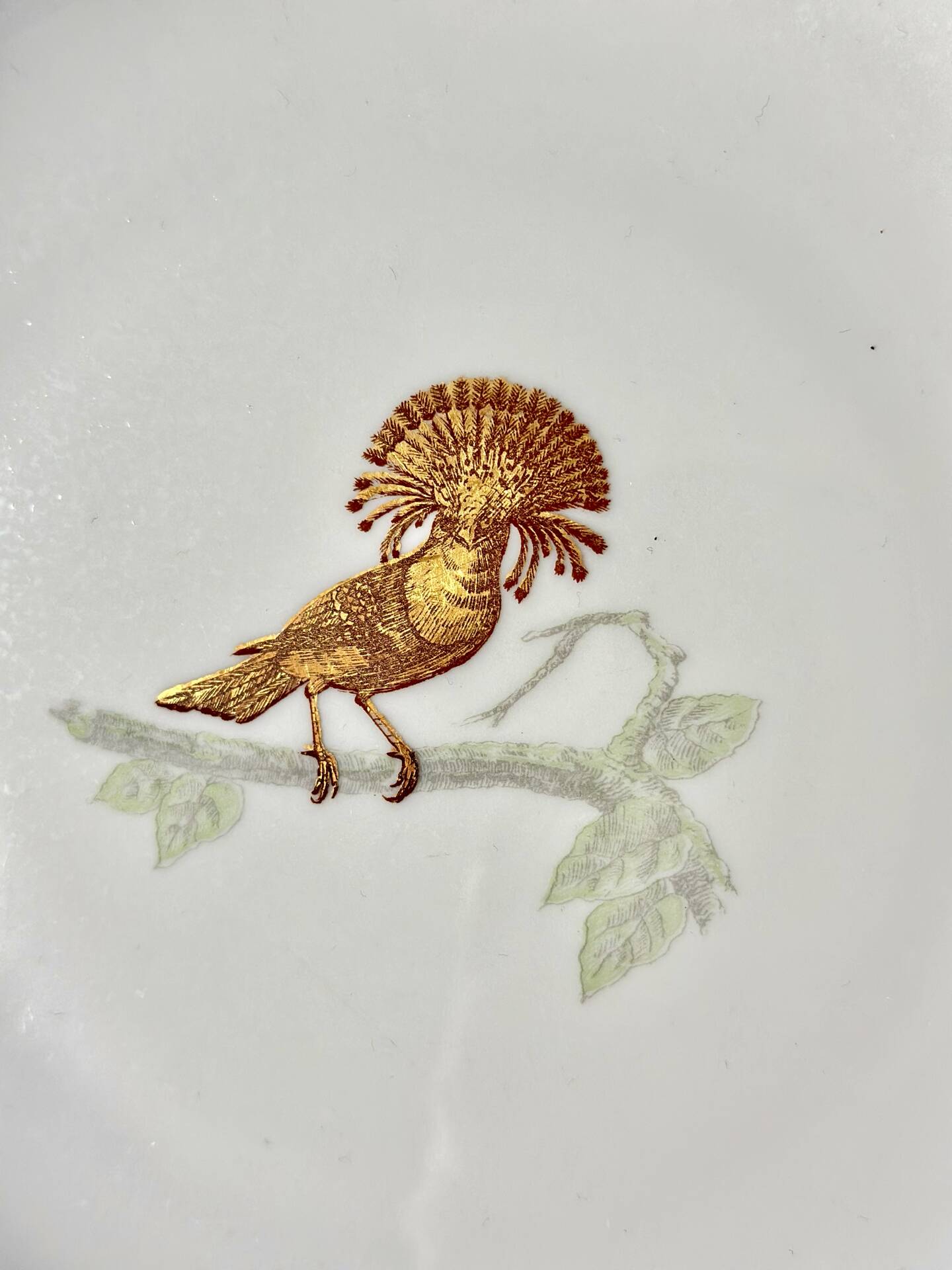 Service Bernardaud Les oiseaux d’or