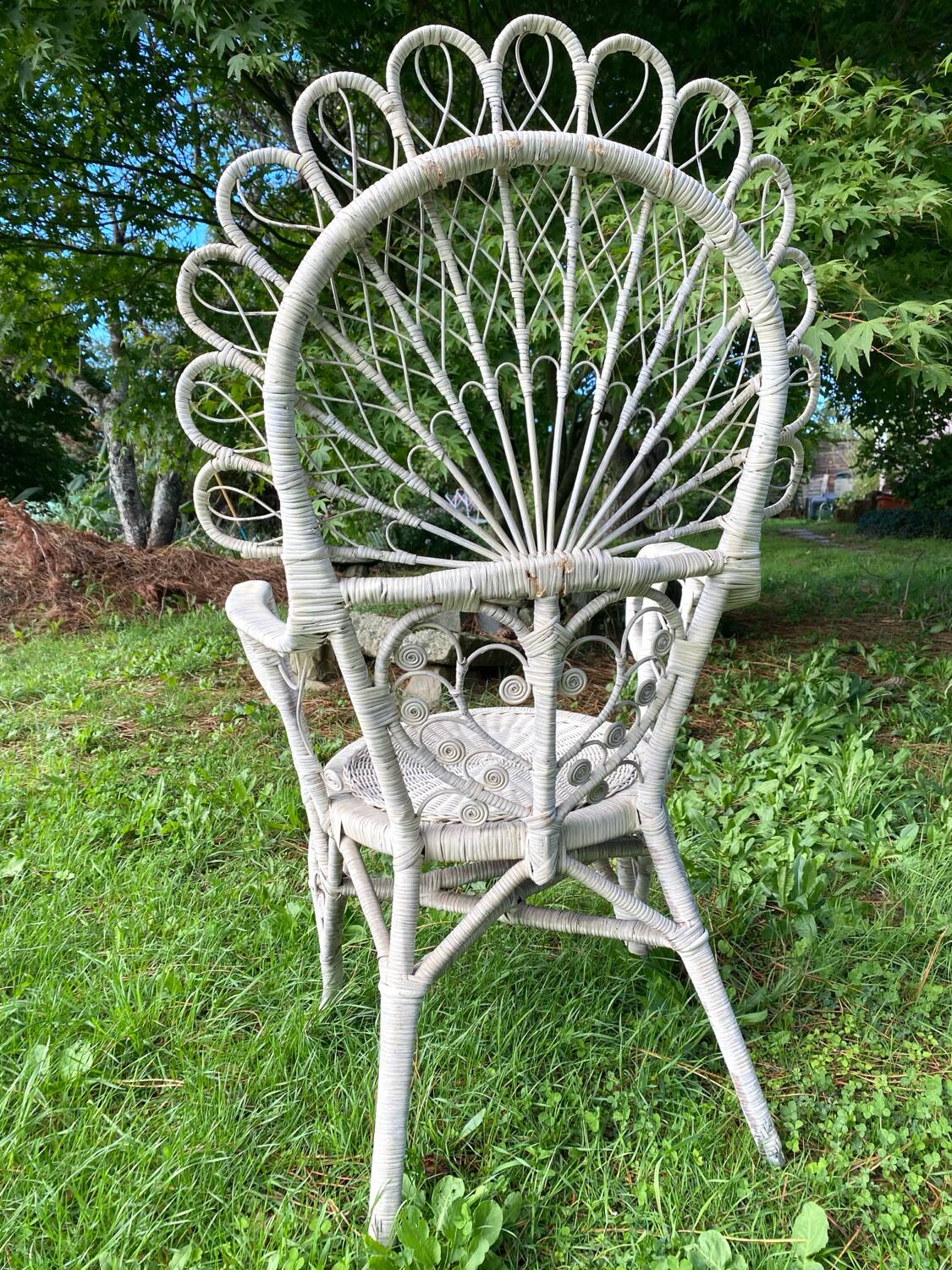 1960s peacock rattan armchair