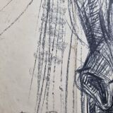 Preparatory study, charcoal sketch of a horse's head signed by Maurice de Bus, 38 x 60 cm