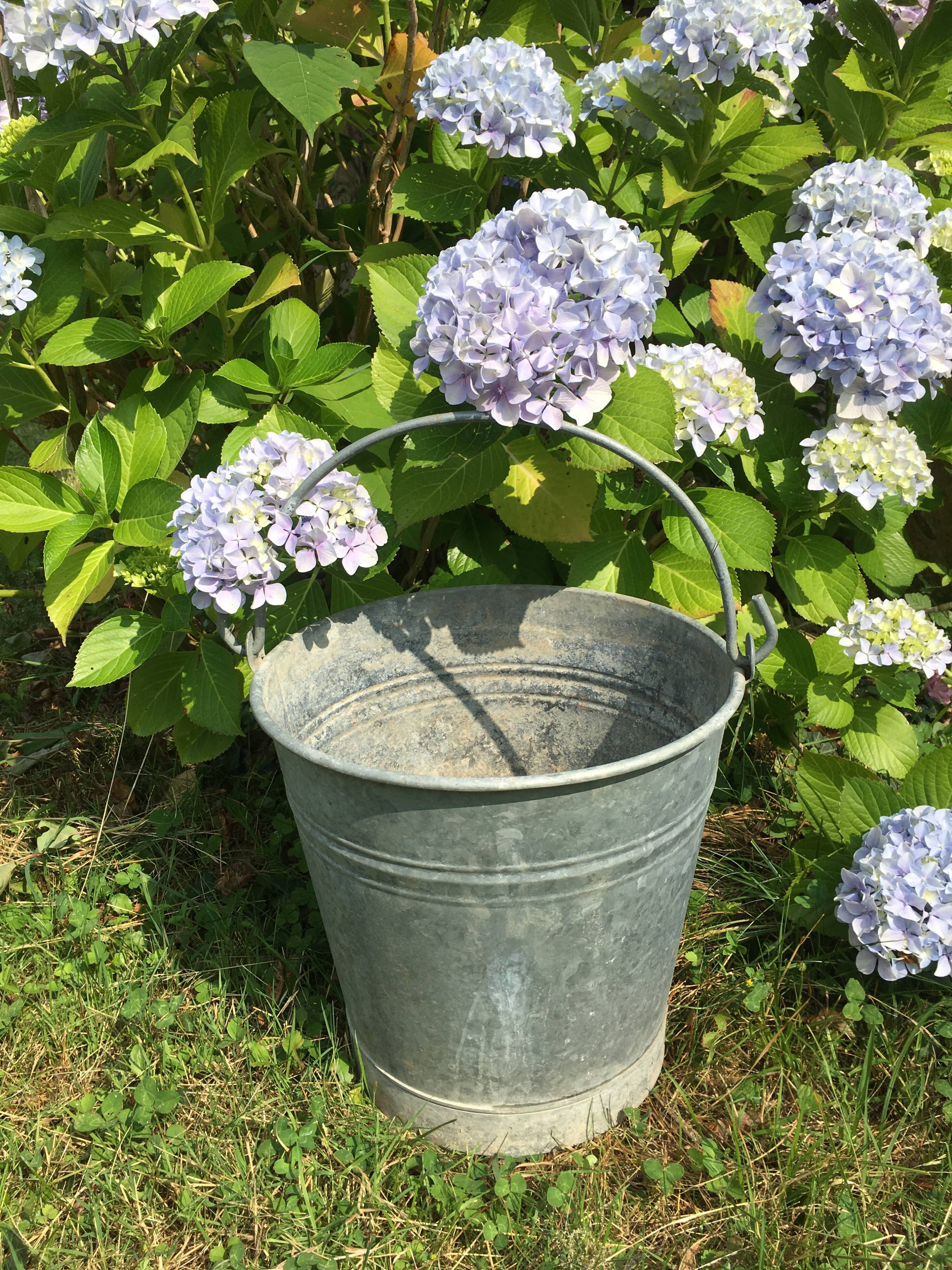Old bucket in vintage zinc pot cache
