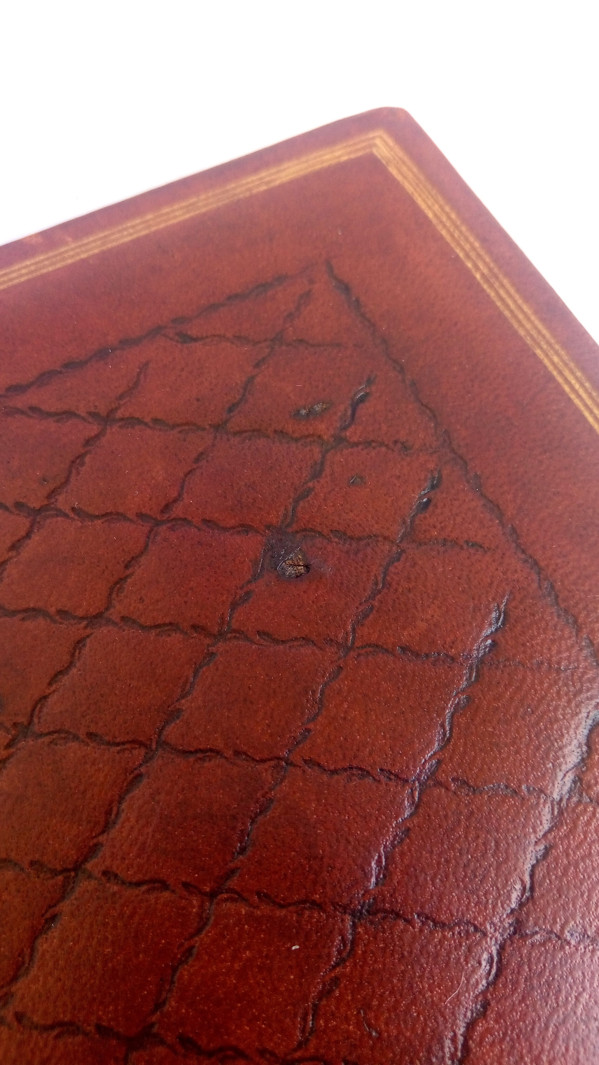 Gold-style leather leather chest