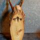 Duo of vintage hunting trophies Art-populaire 50s
