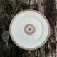Iron earth dish