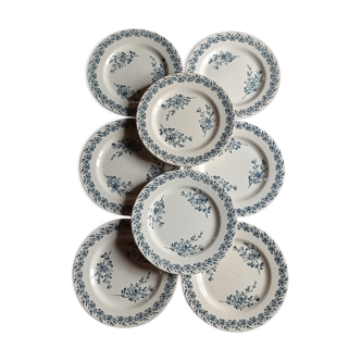 Set of eight plates earth of iron