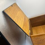 Jugendstil / Art Nouveau Box in Partly Ebonized Solid Oak, Austria, 1900