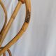 Bamboo parrot coat holder