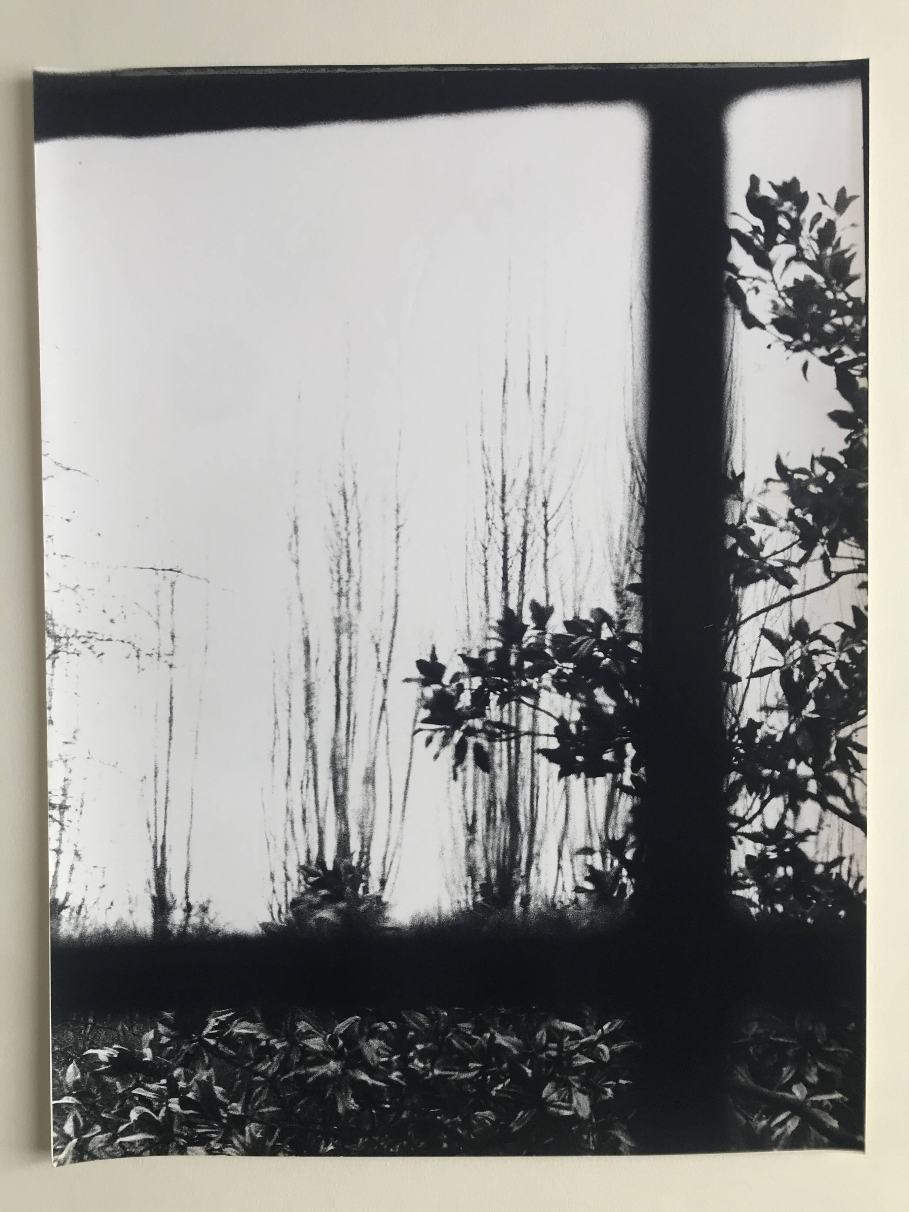 Rosine nusimovici, untitled (window), c 1980. black and white silver print