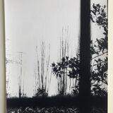 Rosine nusimovici, untitled (window), c 1980. black and white silver print