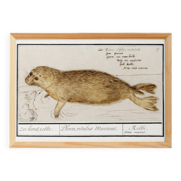 Small poster about the seal, based on an old engraving from 1610.
