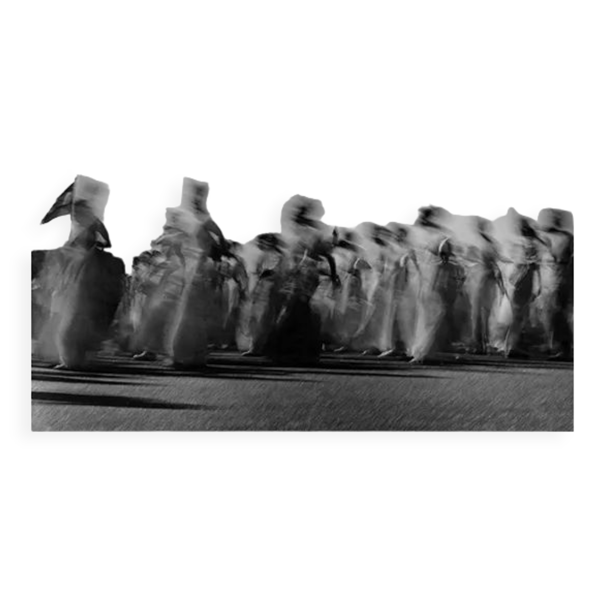 Fuzzy Women Group, India