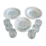 Service Arcopal Myosotis Veronica