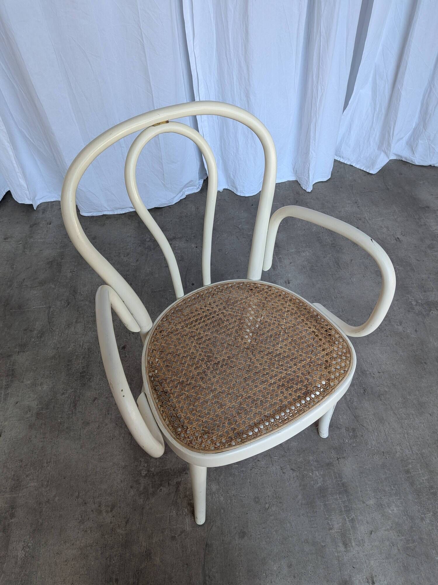 Vintage Thonet Style Dining Chair: White Beech Bentwood Cane Seat