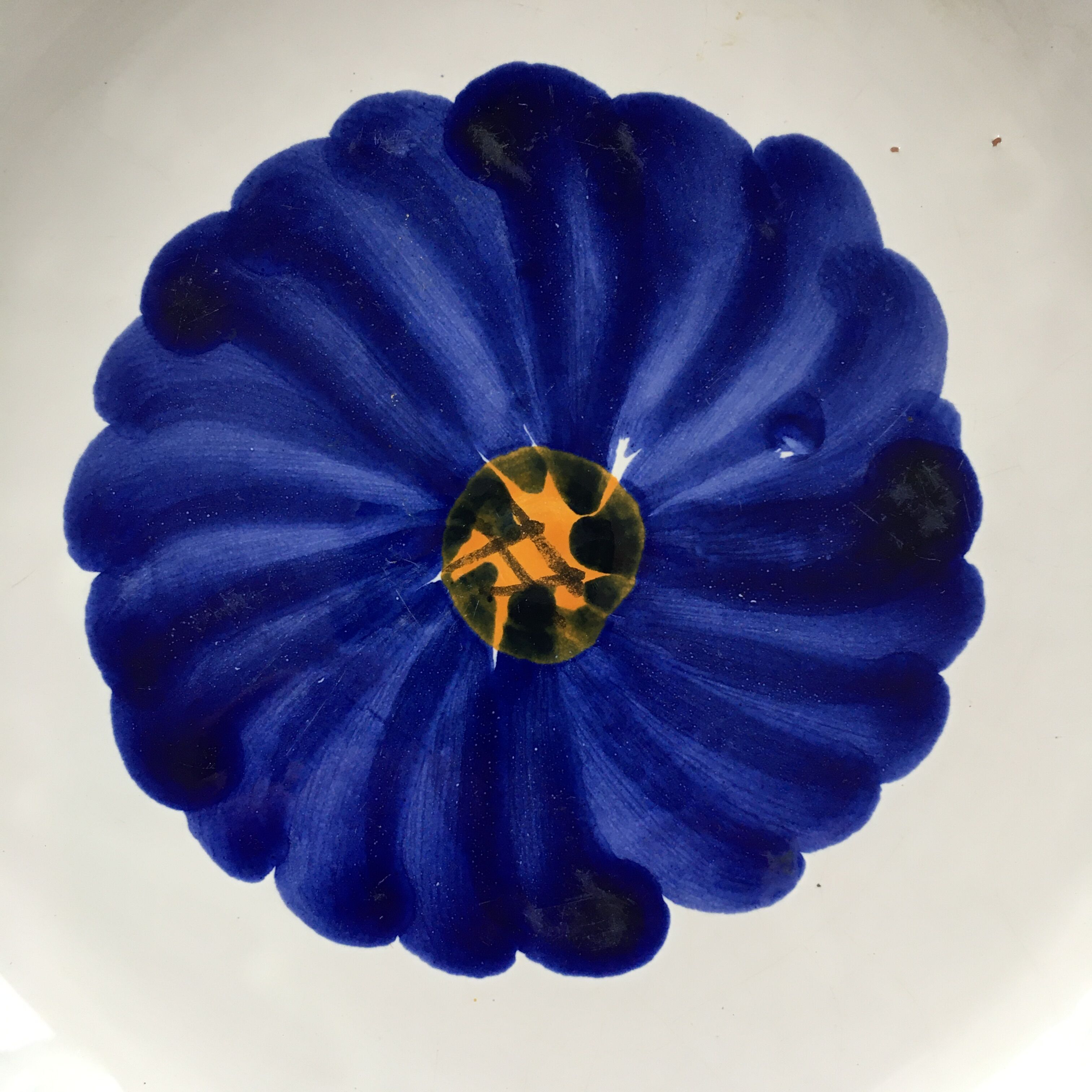 Soucoupe fleur bleue