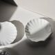 White shell cup