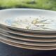 Set of 5 flat plates in Gien earthenware, Primefleur collection.