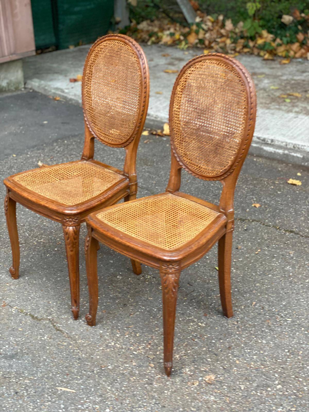 2 Louis XV medallion chairs in solid wood with canes