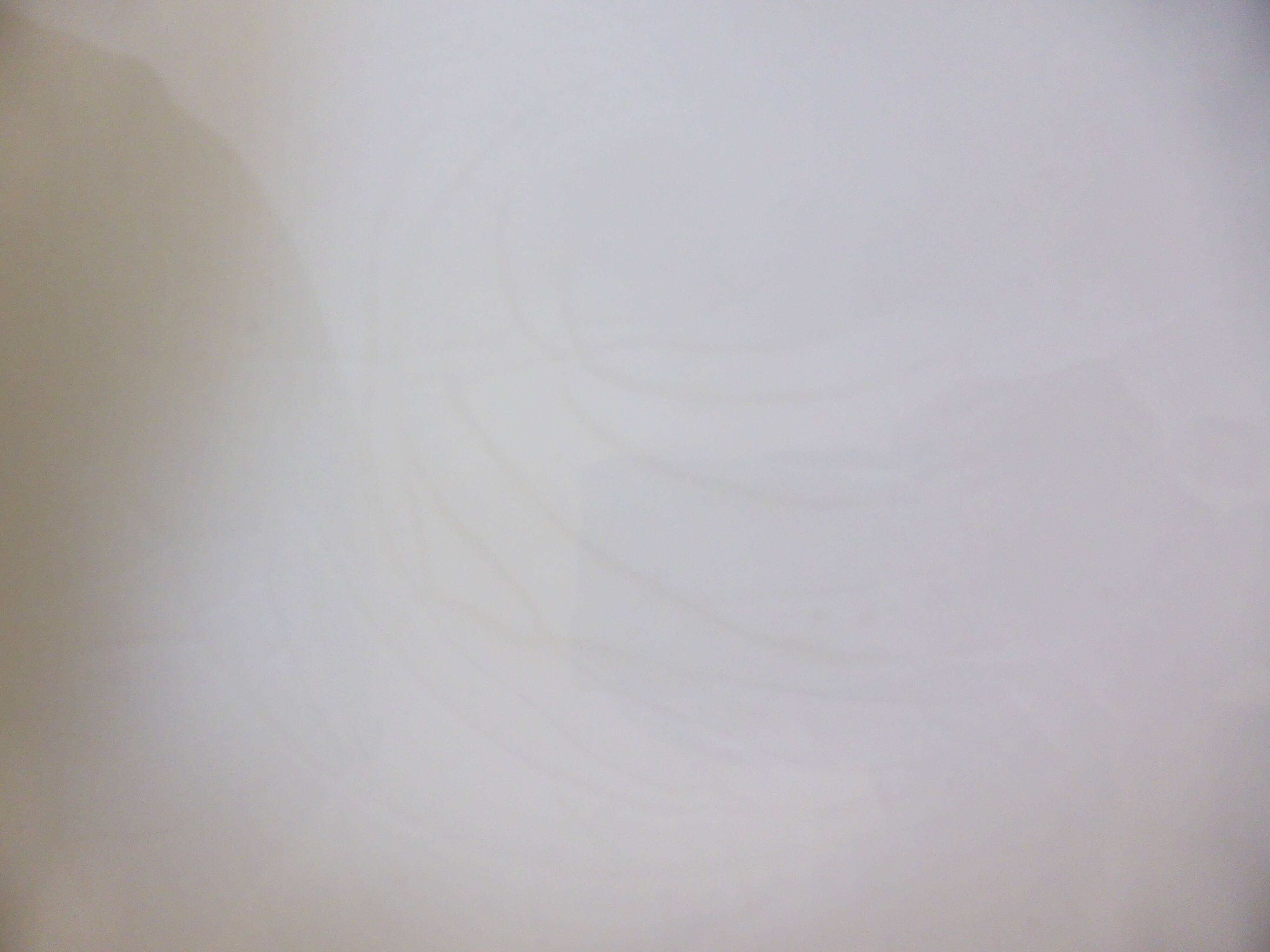 4 vintage porcelain flat plates