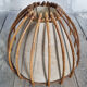 Paire abats jour, rotin, vintage, années 60