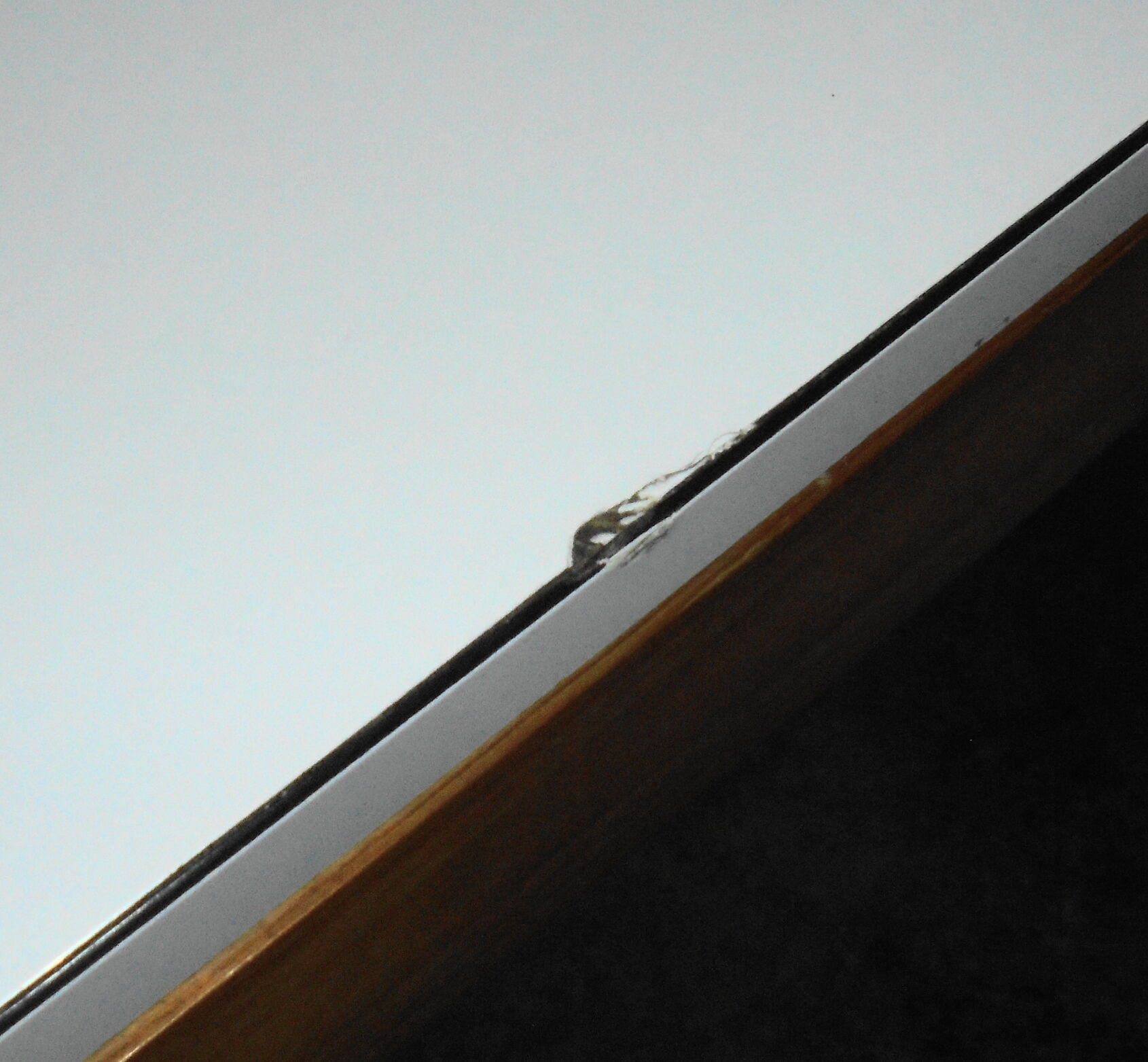 Table by Pierre Gautier Delaye, 50s