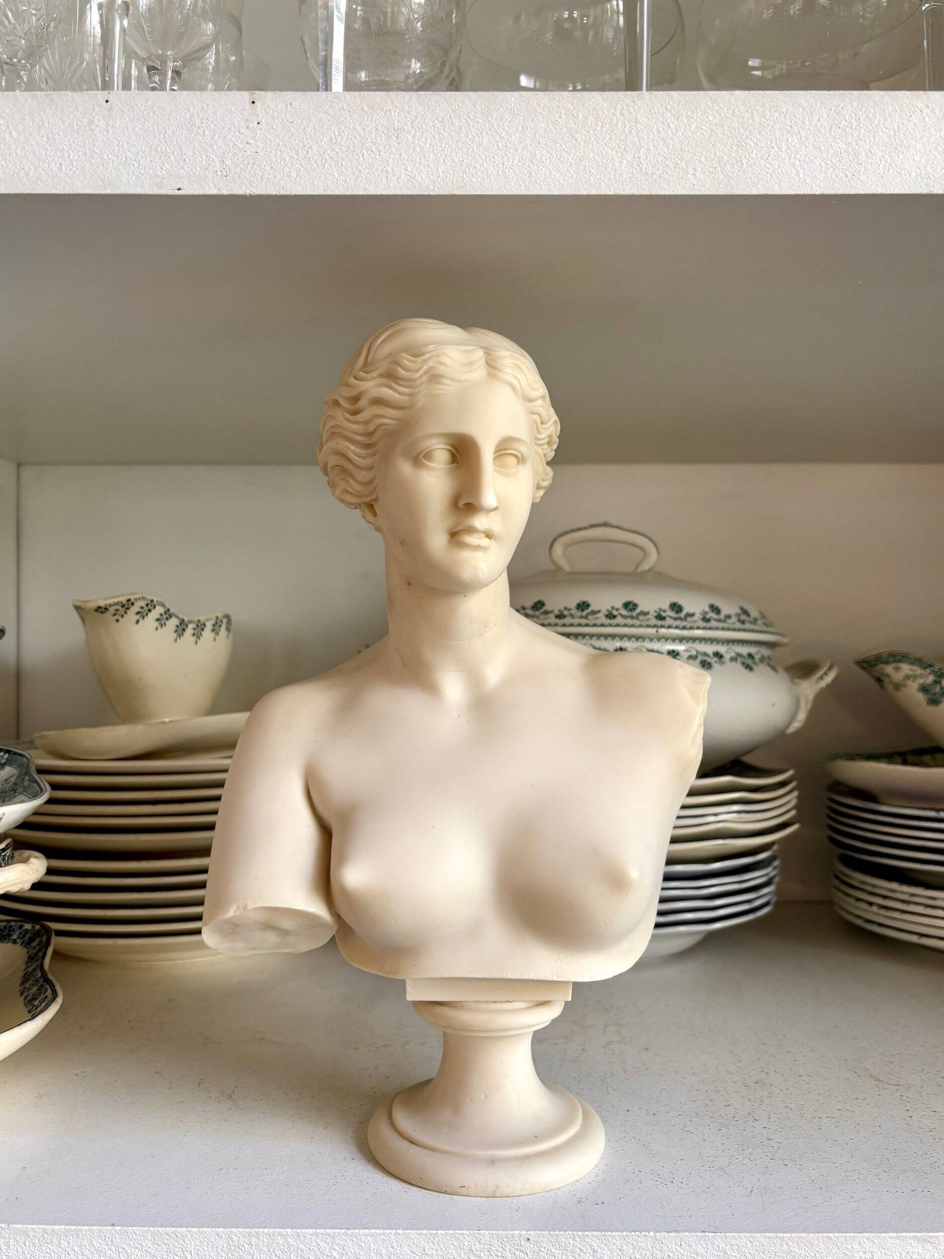 Bust of Venus on pedestal