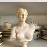 Bust of Venus on pedestal