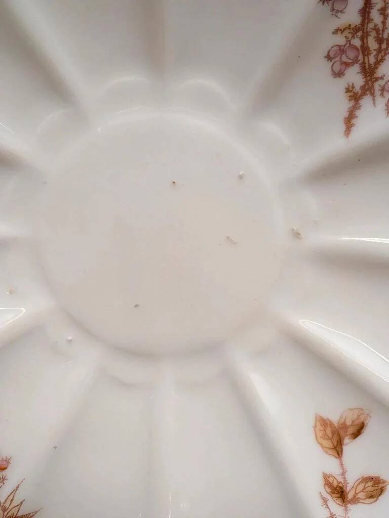 Old porcelain plate J.P.L France