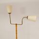 Mid-century organic floor lamp in birch and brass, Sweden, 1950s