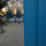 Parisian art deco wardrobe