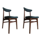 Mid-century dining chairs by Rajmund Teofil Halas, 1960s, set of two