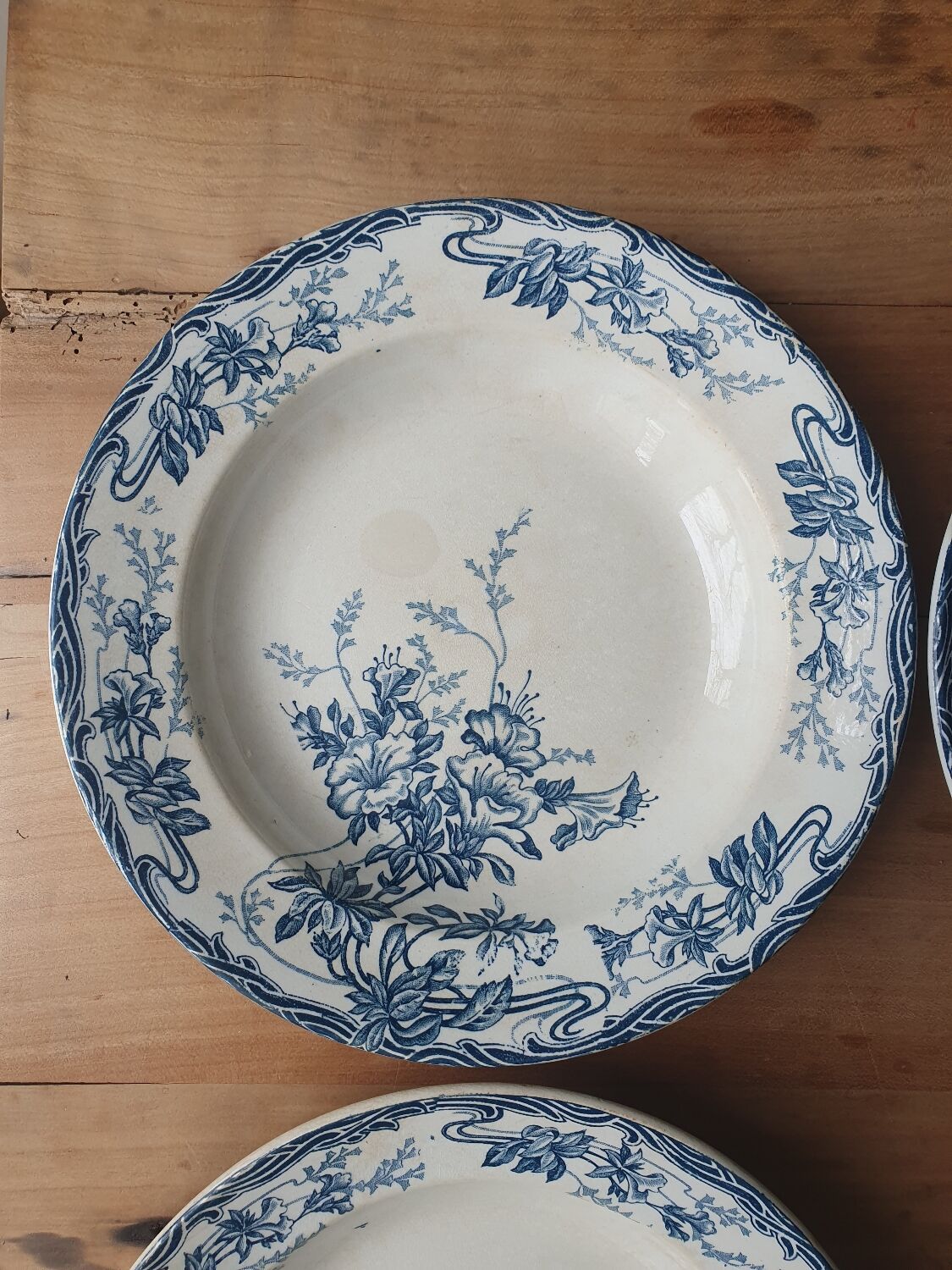 Hollow plates Longwy Azaleas