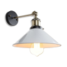 Orientable industrial sconce